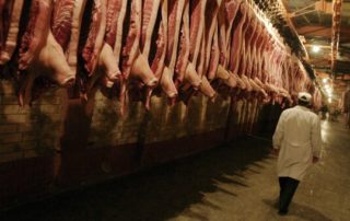 споры по поставке мясопродуктов